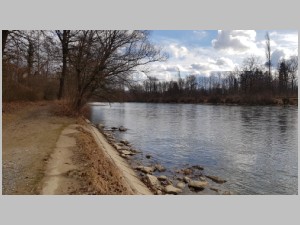 20190130_142637.jpg