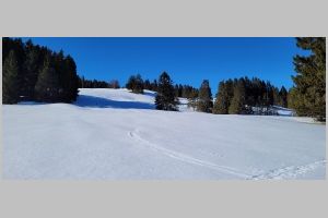 20220209_144146.jpg