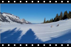 20220209_153249.mp4