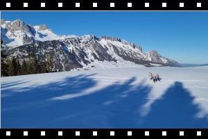 20220209_153310.mp4