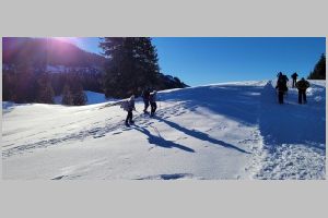 20220209_153759.jpg