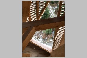 IMG_2239.jpeg