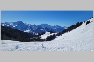 20230213_124146.jpg