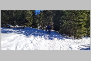 20230213_134631.jpg