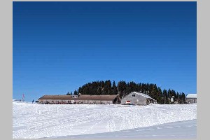 PXL_20230213_104554342.jpg