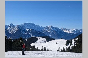 PXL_20230213_104618477.jpg
