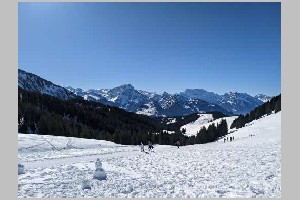 PXL_20230213_112533717.jpg