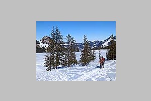 PXL_20230213_120142432.jpg