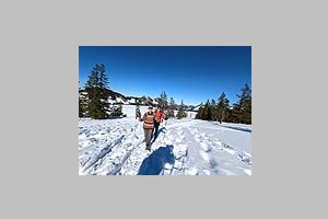 PXL_20230213_120215115.jpg