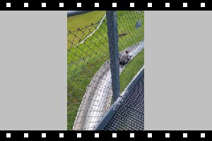 20240730_150313.mp4