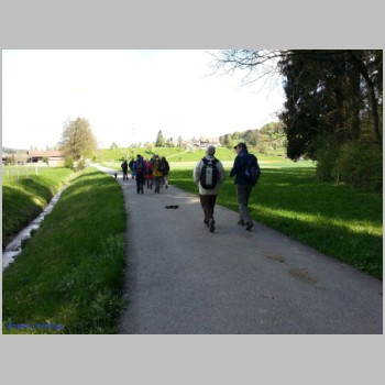 20140415_twi-wanderung_brueten_pfungen-20140415_114819-small.jpg
