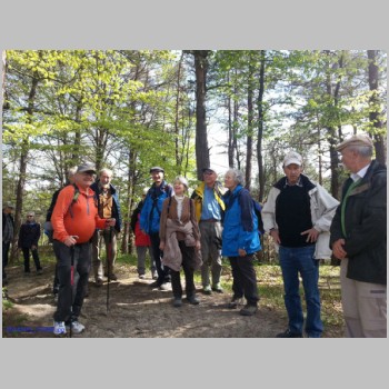 20140415_twi-wanderung_brueten_pfungen-20140415_151046-small.jpg
