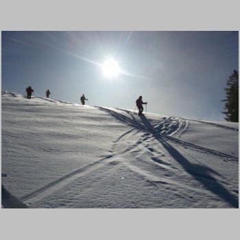 20150218_schneschuhwanderung_schwaegalp_1152037343-small.jpg