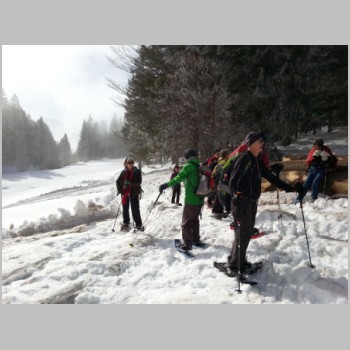 20150218_schneschuhwanderung_schwaegalp_1823783299-small.jpg