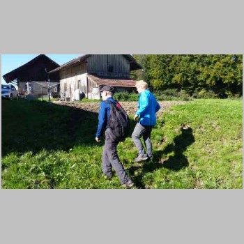 20171011-twi_wanderung_bei_frauenfeld-20171011_121847-small.jpg