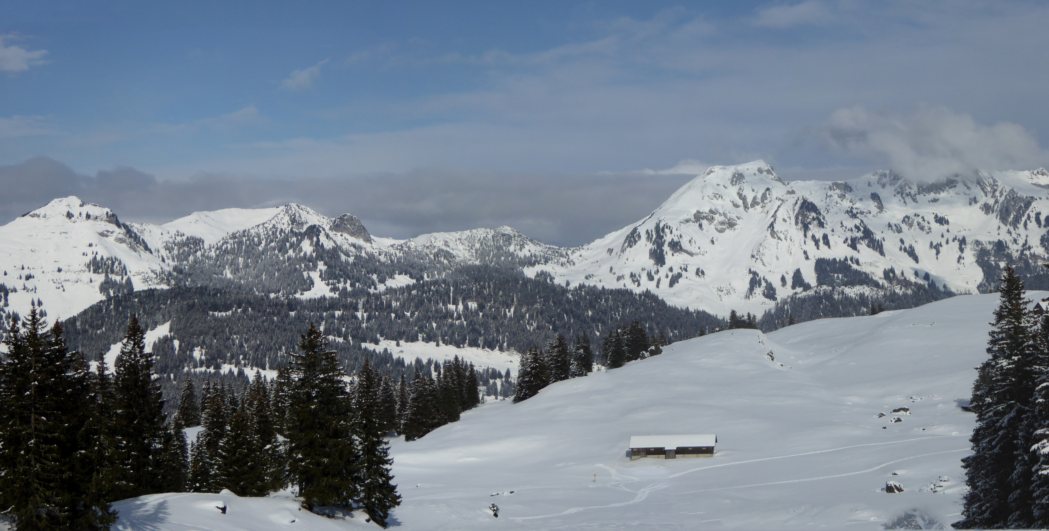 17.02.10 Panorama