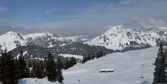 17.02.10 Panorama