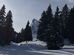 IMG_1445