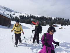 IMG_1452